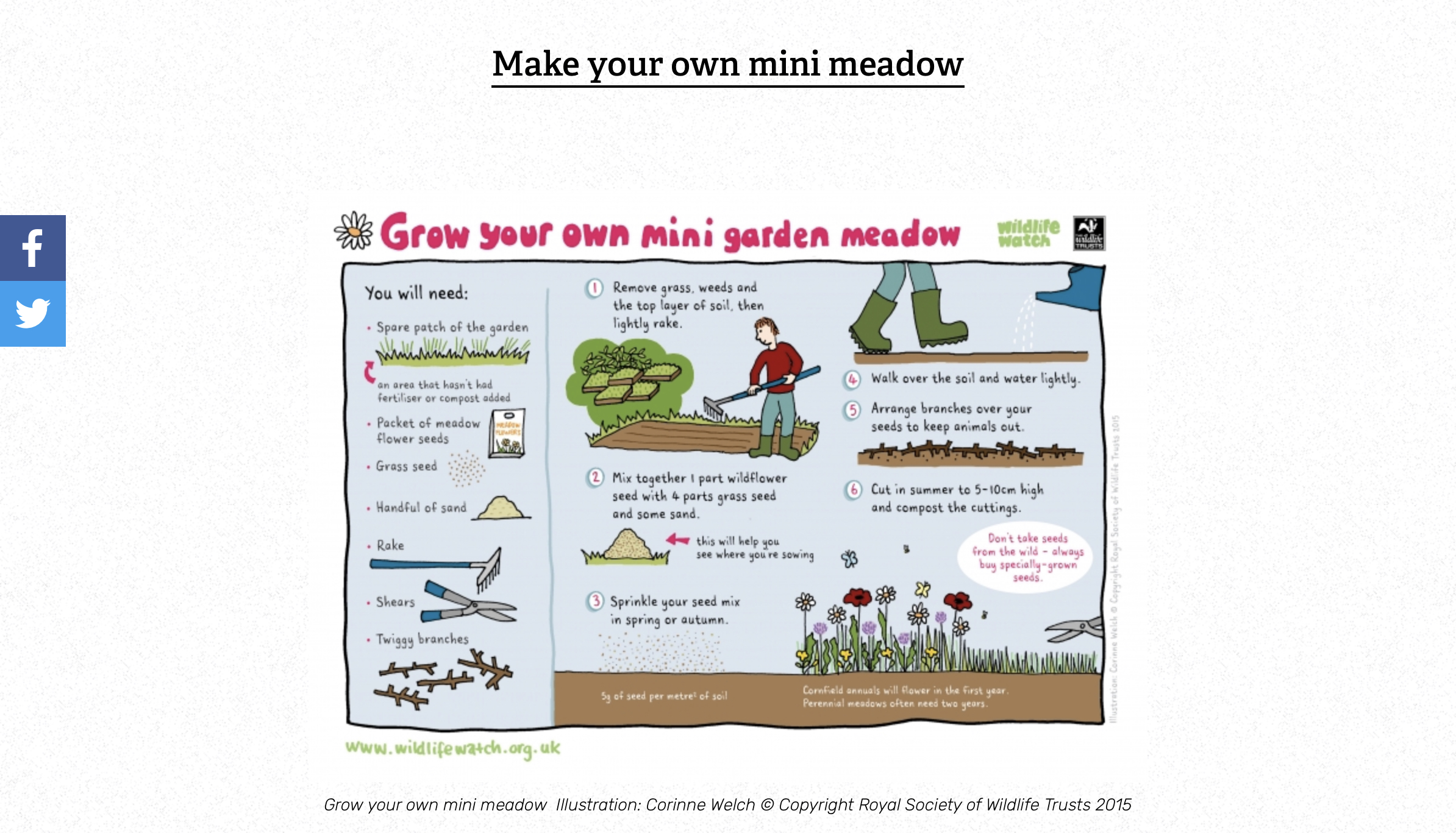 National Meadows Day Learn From Nature National Meadows Day Learn From Nature